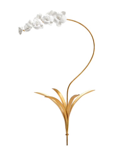 Orchid Stem
