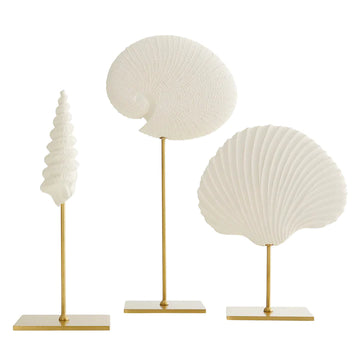 Shell Sculptures Set of 3 Resin/Antique Brass