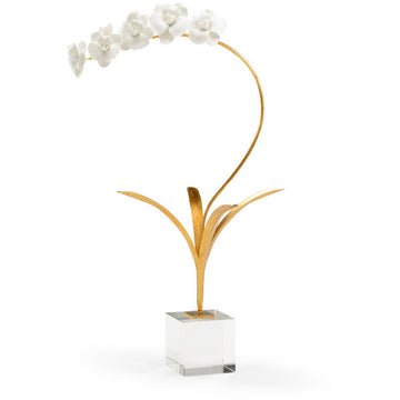 Orchid in Stand