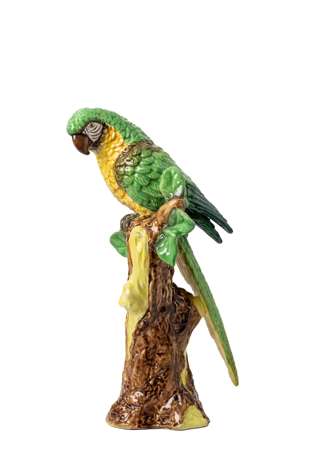 Painted Parrot Pair