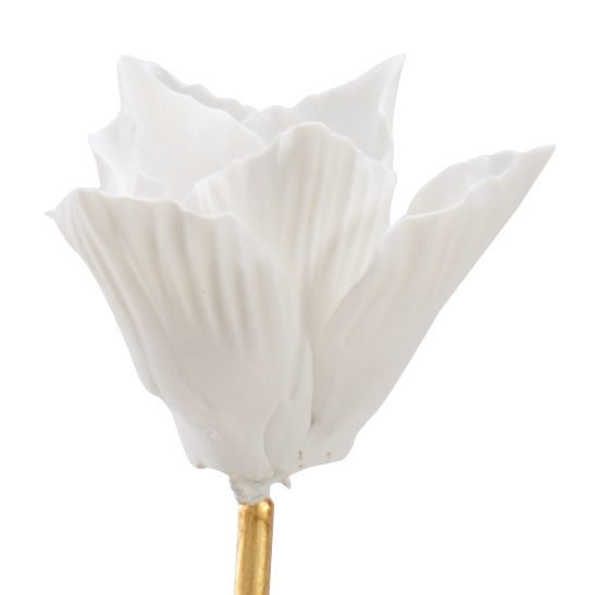 Tulip Stem - Large