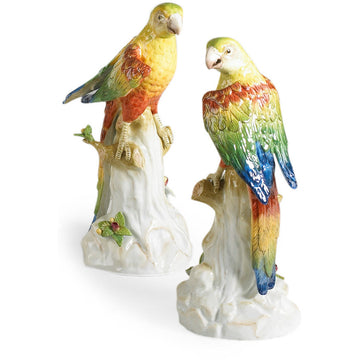 Yellow Parakeets (pair)